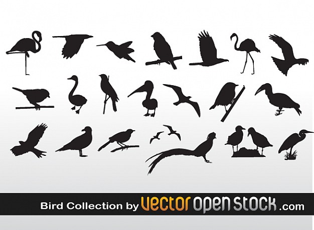 variety of Bird Collection silhouette with gray background