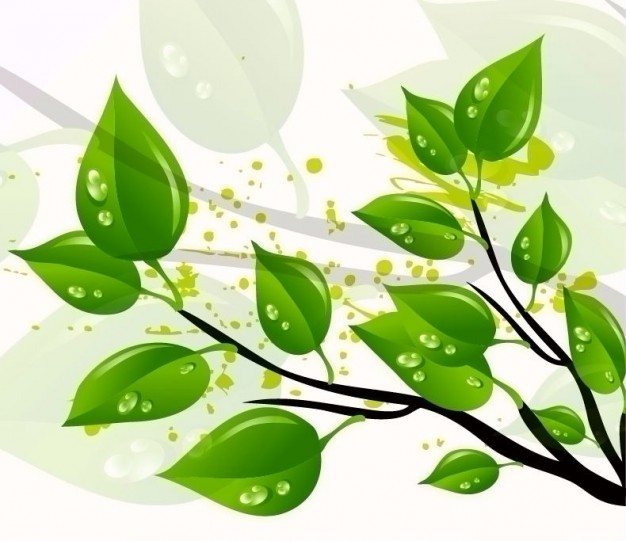abstract green leaves of nature illustration